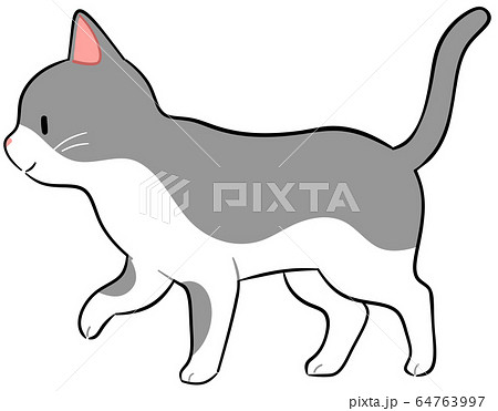 Lateral Cat Stock Illustration