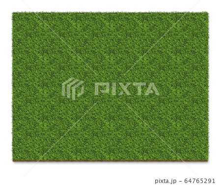 green grass square plate surface, isolated on a green grass square plate surface, isolated on a 64765291