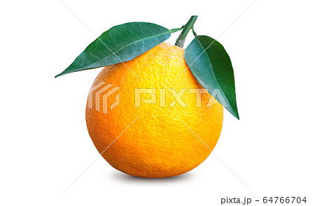 Ripe whole orange with two leaves Ripe whole orange with two leaves 64766704