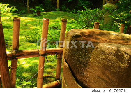 奥嵯峨野の静寂な祇王寺(京都市右京区)の緑の世界 奥嵯峨野の静寂な祇王寺(京都市右京区)の緑の世界 64766714