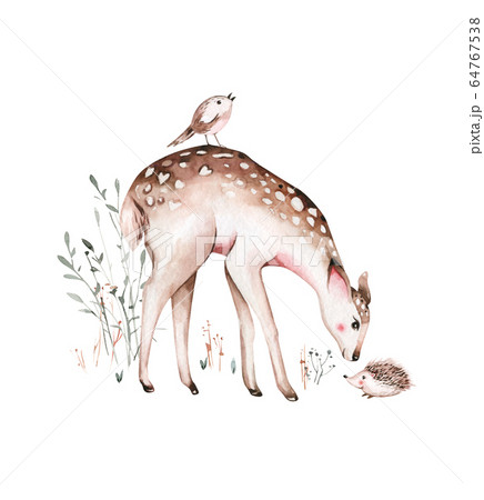 Woodland watercolor cute animals baby deer. Scandinavian cartoon forest nursery poster design. Isolated charecter 64767538