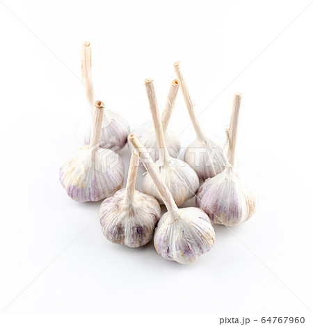 whole garlic bunch stands on a white background 64767960