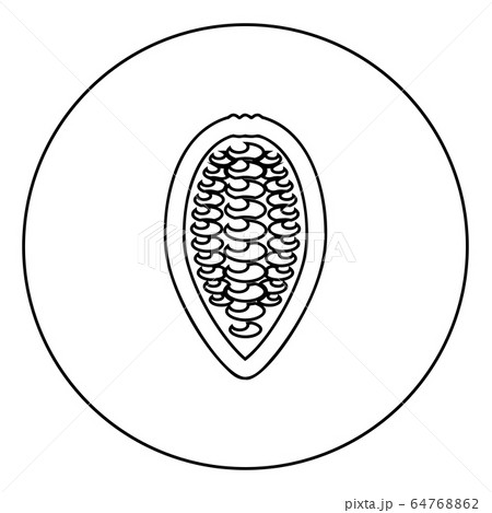 Cacao Bob Beans Cocoa Fruit Chocolate Seeds Icon のイラスト素材