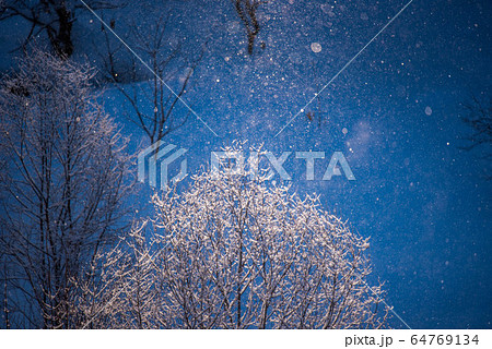 自然の神秘　ダイヤモンドダストの煌き 64769134