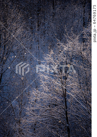 自然の神秘 ダイヤモンドダストの煌き 自然の神秘 ダイヤモンドダストの煌き 64769175