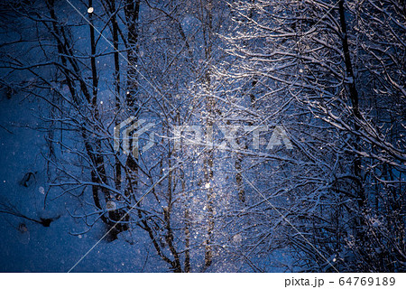 自然の神秘 ダイヤモンドダストの煌き 自然の神秘 ダイヤモンドダストの煌き 64769189
