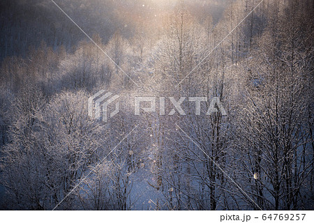 自然の神秘 ダイヤモンドダストの煌き 自然の神秘 ダイヤモンドダストの煌き 64769257