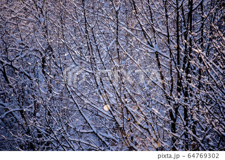 自然の神秘　ダイヤモンドダストの煌き 64769302