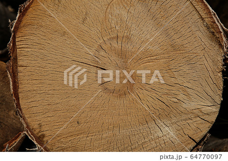 background wooden texture light beige, log old 64770097