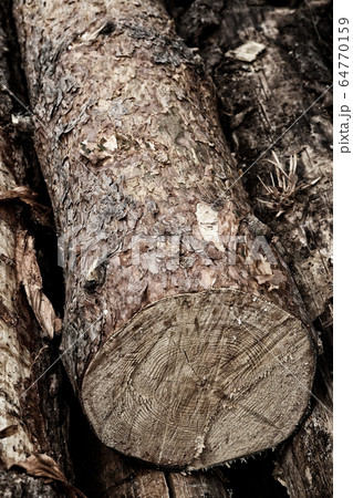 sawn pine trunk toned sawmill design closeup 64770159