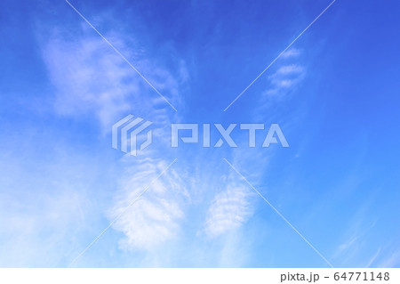 Blue sky with white clouds that form the face of a tiger. Concept landscape, abstraction. 64771148