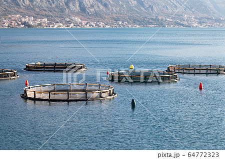 Fish farm 64772323