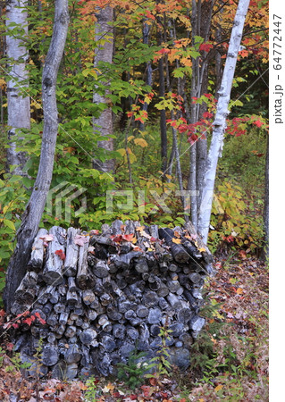 カナダのケベック州郊外のロレンシャン高原、モントロンブラン国立公園 カナダのケベック州郊外のロレンシャン高原、モントロンブラン国立公園 64772447