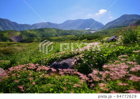 盛夏の北アルプス 立山連峰 盛夏の北アルプス 立山連峰 64772629