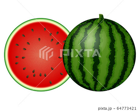スイカのイラスト素材