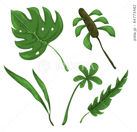 Jungle leaves and flowers  64773482