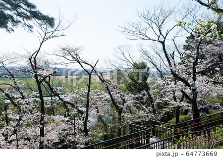 多摩川台公園 多摩川台公園 64773669