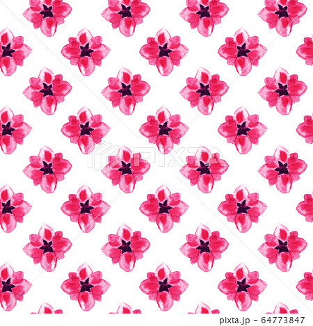 Sakura pink flowers pattern background, watercolor Sakura pink flowers pattern background, watercolor 64773847