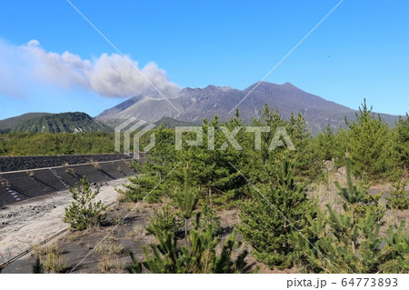 桜島　黒神ビュースポット  64773893
