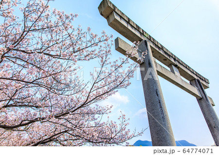 橘神社の桜 【長崎県雲仙市】 橘神社の桜 【長崎県雲仙市】 64774071