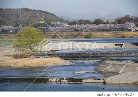 玉川 64774627