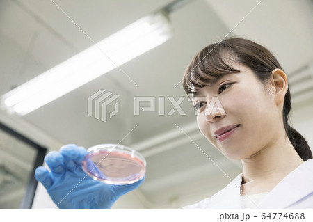 研究 開発 実験イメージ 培養液を持つ女性研究員 研究 開発 実験イメージ 培養液を持つ女性研究員 64774688