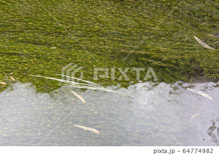 白川水源 64774982