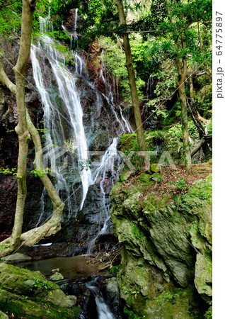 姥ヶ滝　有田川町 64775897