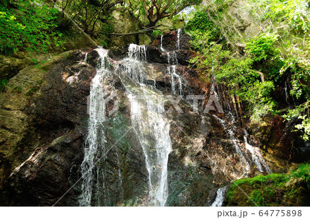 姥ヶ滝　有田川町 64775898