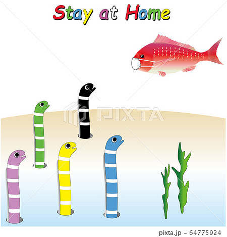 STAY　AT　HOME3（アナゴ君） 64775924