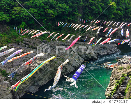 春子供の日大歩危峡鯉のぼり 春子供の日大歩危峡鯉のぼり 64776157