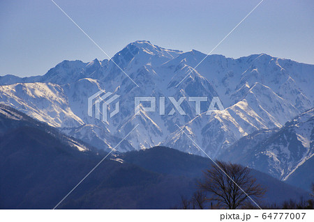 残雪に光る五竜岳　長野県白馬村 64777007