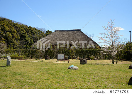 桜咲く習志野市、実籾本郷公園、民話の広場 64778708