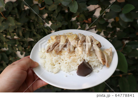 chicken and rice ,chicken rice or chinese chicken chicken and rice ,chicken rice or chinese chicken 64778841