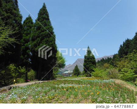 遠くに見える山々と高原の新緑 64778867
