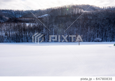 冬の美瑛　水墨画のような風景 64780830