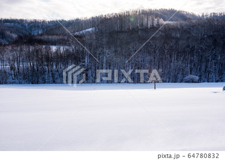 冬の美瑛　水墨画のような風景 64780832