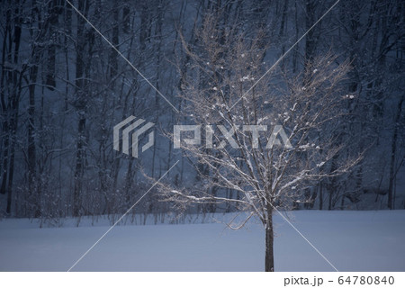 冬の美瑛　水墨画のような風景 64780840