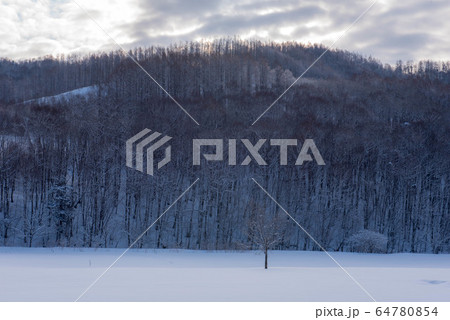冬の美瑛　水墨画のような風景 64780854