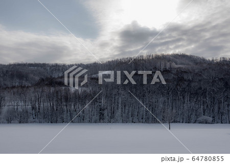 冬の美瑛　水墨画のような風景 64780855