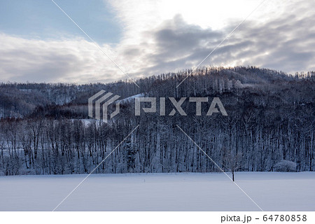 冬の美瑛 水墨画のような風景 冬の美瑛 水墨画のような風景 64780858