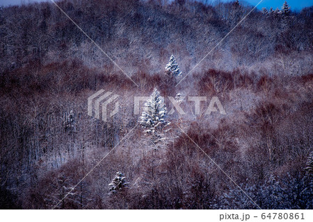冬の美瑛　水墨画のような風景 64780861