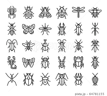 insect outline vector icons 64781155