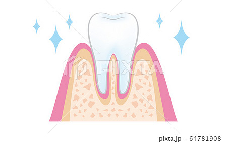 歯医者さんのイラスト歯科PMTCの手順 dental_pmtc_step10 64781908