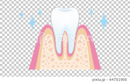 歯医者さんのイラスト歯科PMTCの手順 dental_pmtc_step10 64781908