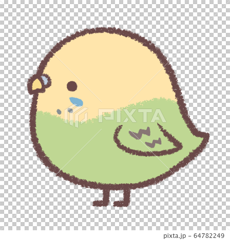Budgerigar yellow 64782249