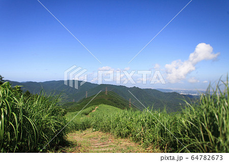 春の岩湧山 64782673