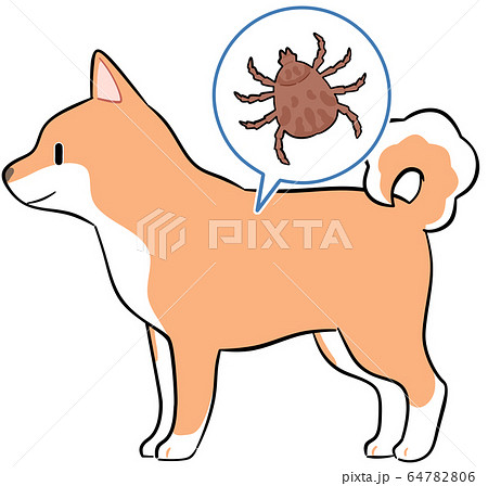 犬とダニ 64782806