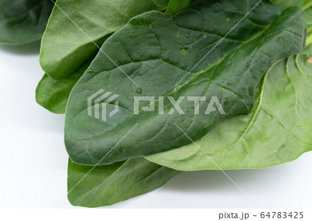 ほうれん草 64783425