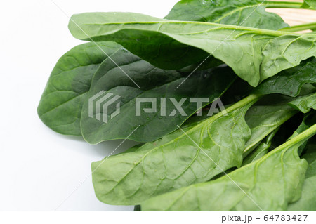ほうれん草 64783427